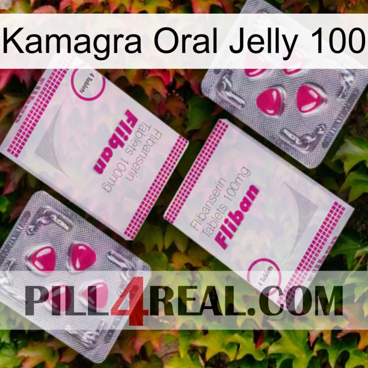 Kamagra Oral Jelly 100 33
